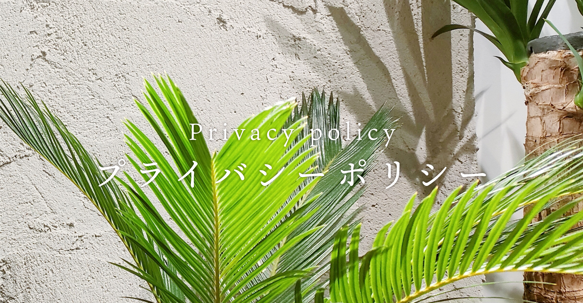 プライバシーポリシー